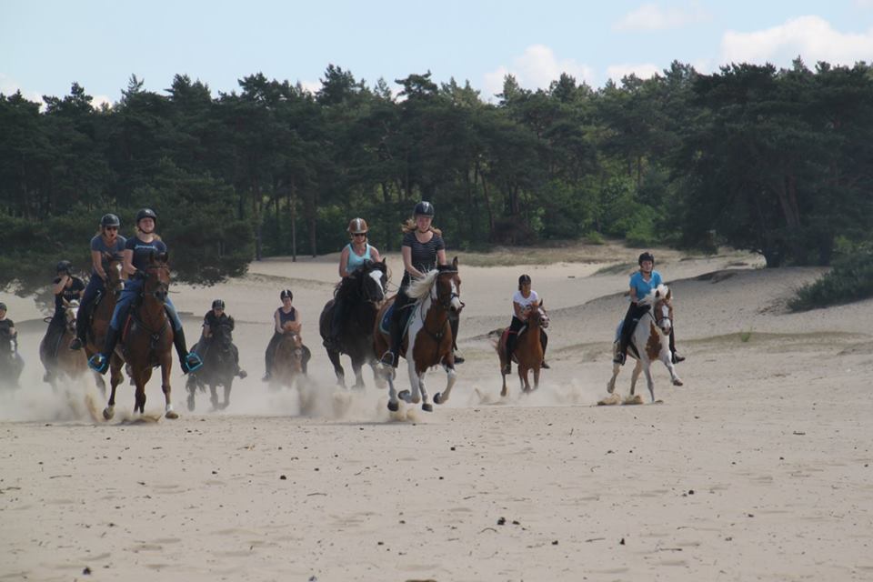 Ponykamp zandverstuiving